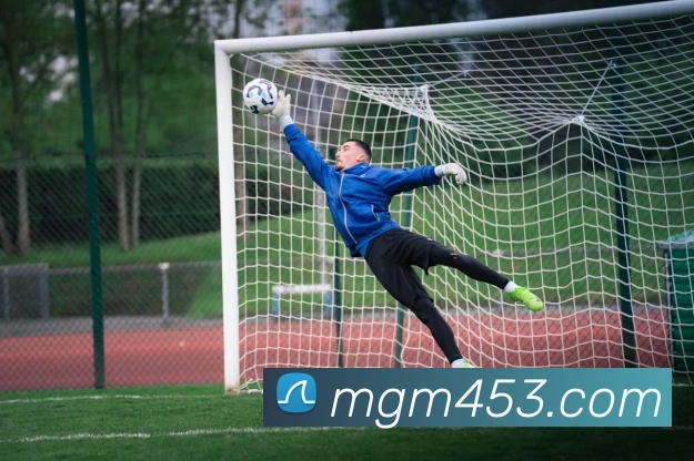 未来规划
